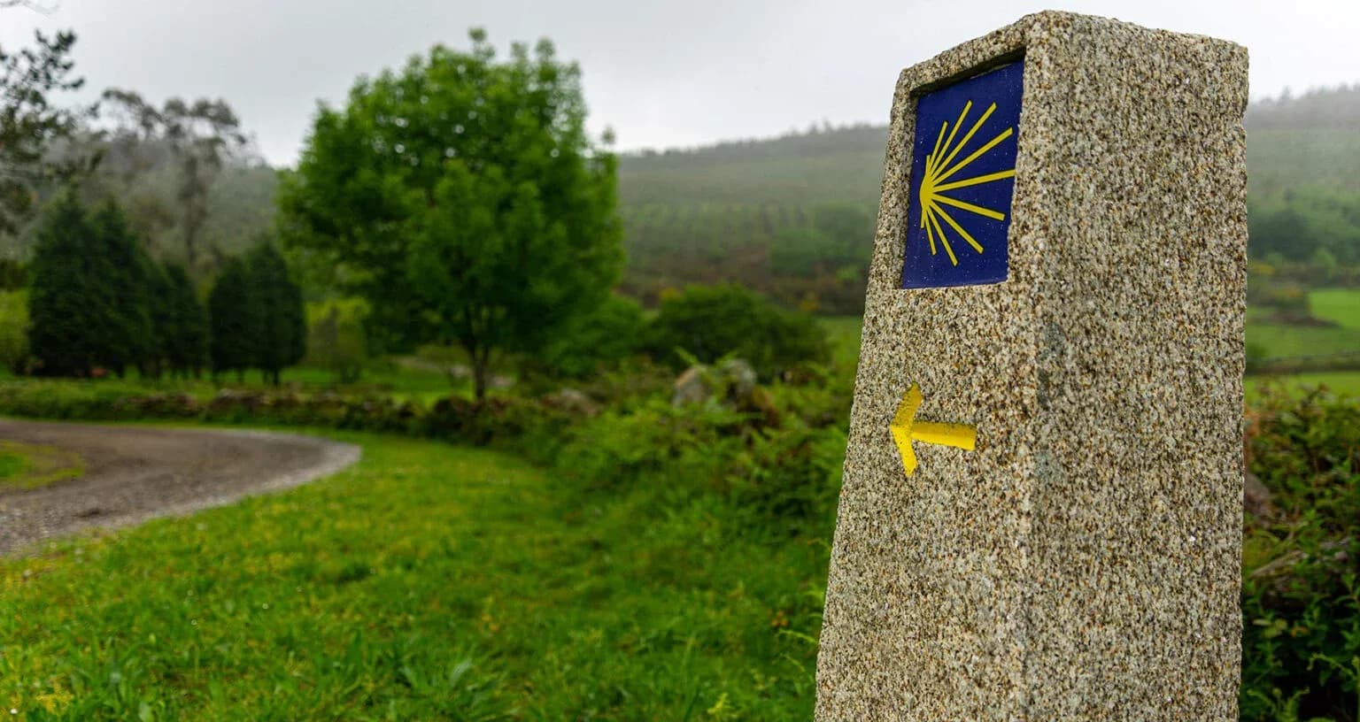 VIII Congreso Internacional de investigación, formación & desarrollo enfermero “Caminando hacia nuevos horizontes: Enfermería 2060″ | UFV Camino-Santiago_ufv-WEB-1536x816.jpg VIII Congreso Internacional de investigación, formación & desarrollo enfermero “Caminando hacia nuevos horizontes: Enfermería 2060″ | UFV Estudiar en Universidad Privada Madrid