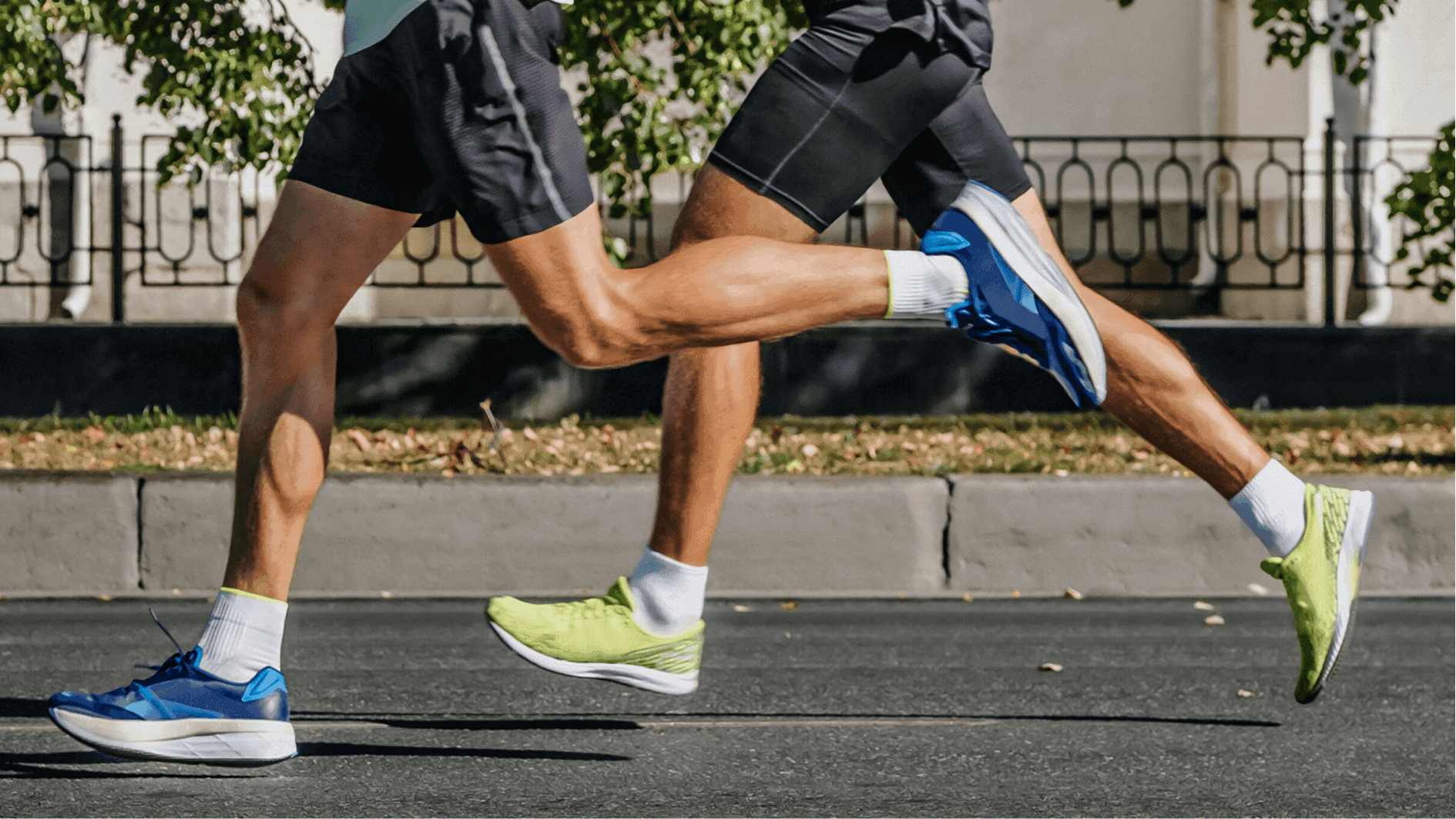 Máster de Formación Permanente en Ejercicio Físico y Abordaje Integral en Oncología - Postgrados Universidad Francisco de Vitoria M11_Hero Imagen Destacada_ Patología Deportiva del Miembro Inferior Máster de Formación Permanente en Ejercicio Físico y Abordaje Integral en Oncología - Postgrados Universidad Francisco de Vitoria Estudiar en Universidad Privada Madrid