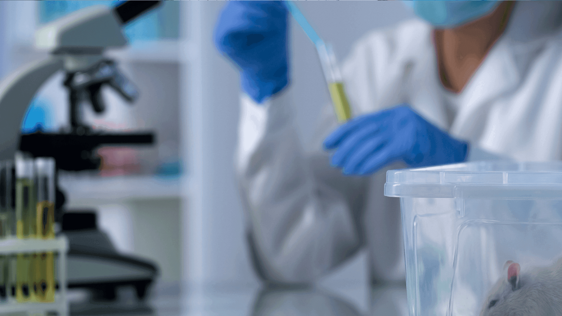 Curso de Experimentación Animal - Postgrados Universidad Francisco de Vitoria M21_ContentText_Horizontal_experimentación animal Curso de Experimentación Animal - Postgrados Universidad Francisco de Vitoria Estudiar en Universidad Privada Madrid