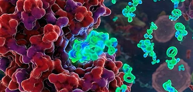 La computación cuántica ha entrado en la búsqueda de fármacos contra el cáncer con un proyecto de la UFV Telefónica, Fundación y Vithas | UFV Quantum-Vithas-2 La computación cuántica ha entrado en la búsqueda de fármacos contra el cáncer con un proyecto de la UFV Telefónica, Fundación y Vithas | UFV Estudiar en Universidad Privada Madrid