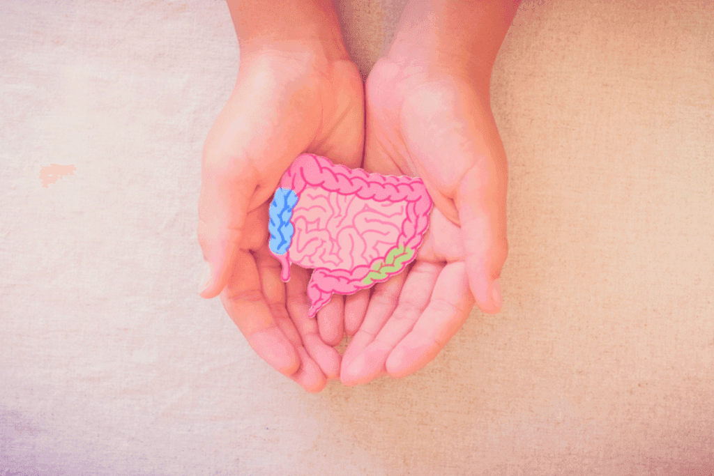 ¿Cómo influye la composición del microbioma en el desarrollo del cáncer de colon? | UFV 240606_portada-comportamiento-dicotomico-cancer-colon-1024x683 ¿Cómo influye la composición del microbioma en el desarrollo del cáncer de colon? | UFV Estudiar en Universidad Privada Madrid