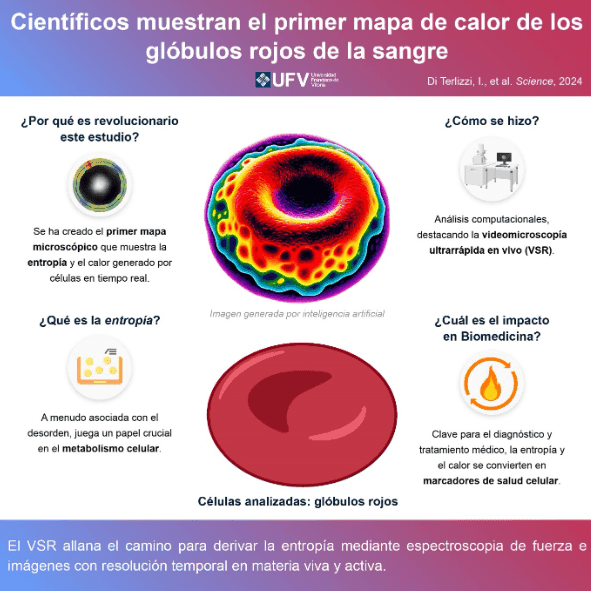 Una investigación de la UFV junto con otras universidades muestra el primer mapa de calor de una célula | UFV Captura-de-pantalla-2024-05-08-102653 Una investigación de la UFV junto con otras universidades muestra el primer mapa de calor de una célula | UFV Estudiar en Universidad Privada Madrid