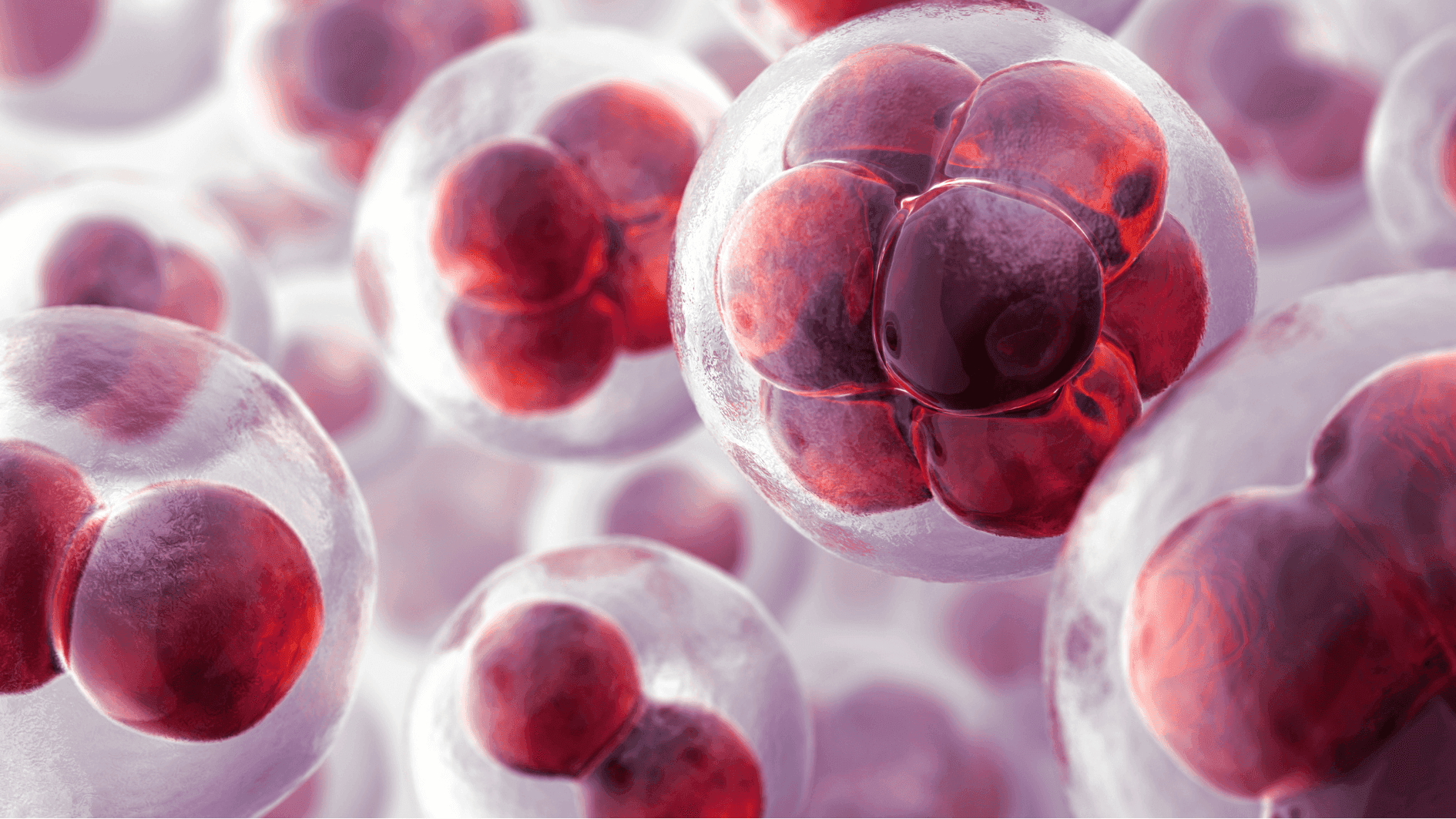 Máster Universitario en Bioinformática y Análisis de Datos Biomédicos - Postgrados Universidad Francisco de Vitoria M11_Hero Imagen Destacada_vesículas extracelulares Máster Universitario en Bioinformática y Análisis de Datos Biomédicos - Postgrados Universidad Francisco de Vitoria Estudiar en Universidad Privada Madrid