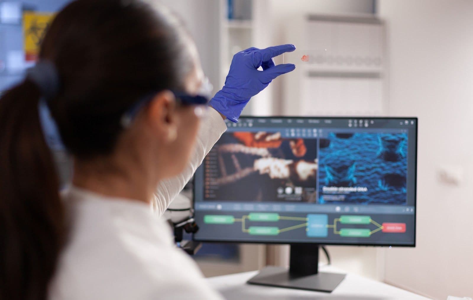 Bachelor's Degree in Genetics Madrid ▷ Genetics Degree Program especialista-en-ingenieria-biomedica-con-un-ordenador Bachelor's Degree in Genetics Madrid ▷ Genetics Degree Program Study at the Universidad Privada Madrid