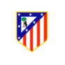 atletico madrid 93x93 1 CAFYD + Fisioterapia Estudiar en Universidad Privada Madrid