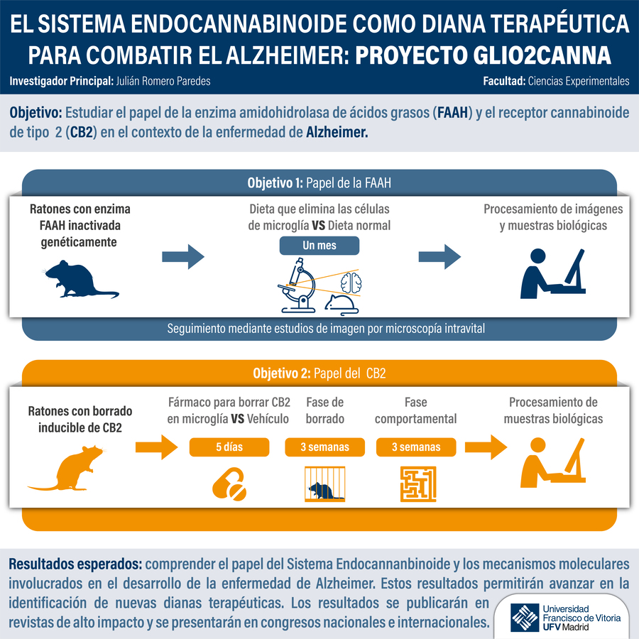 1 13 11 1 Investigadores de la UFV estudian cómo el sistema endocannabinoide puede ayudar a combatir el Alzheimer | Noticias de Actualidad UFV Estudiar en Universidad Privada Madrid