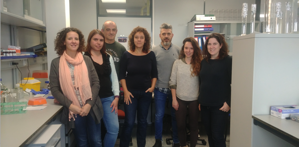 Captura de pantalla 2020 01 28 a las 9.43.28 Beatriz Herranz, profesora UFV, participa en el descubrimiento de una conexión entre los gliomas y las enfermedades neurodegenerativas Estudiar en Universidad Privada Madrid