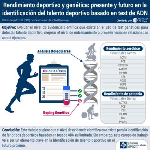 Genetics and sports performance... Espanol ¿Podemos detectar al próximo “Alejandro Valverde” mediante una prueba de ADN?| Noticias de Actualidad UFV Estudiar en Universidad Privada Madrid