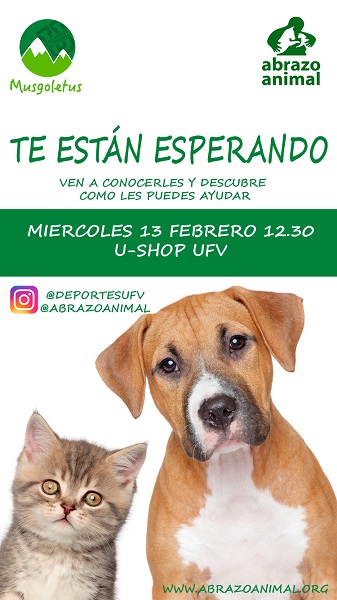 ed91b594 8bc8 469d 90a3 93c010754226 Charla sobre la adopción de animales Estudiar en Universidad Privada Madrid