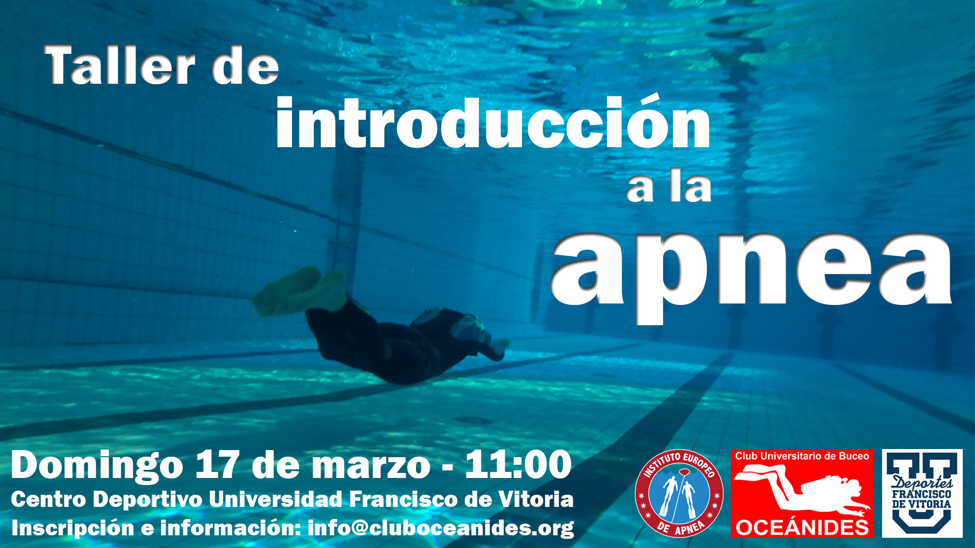 taller apnea Taller de buceo en la UFV   17 de marzo Estudiar en Universidad Privada Madrid