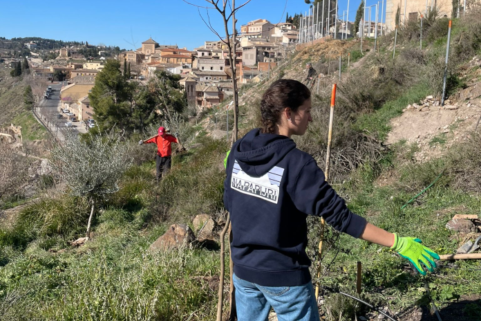 actividad reforestacion 2 La comunidad de la UFV reforesta una escombrera del río Tajo | Noticias de Actualidad UFV Estudiar en Universidad Privada Madrid