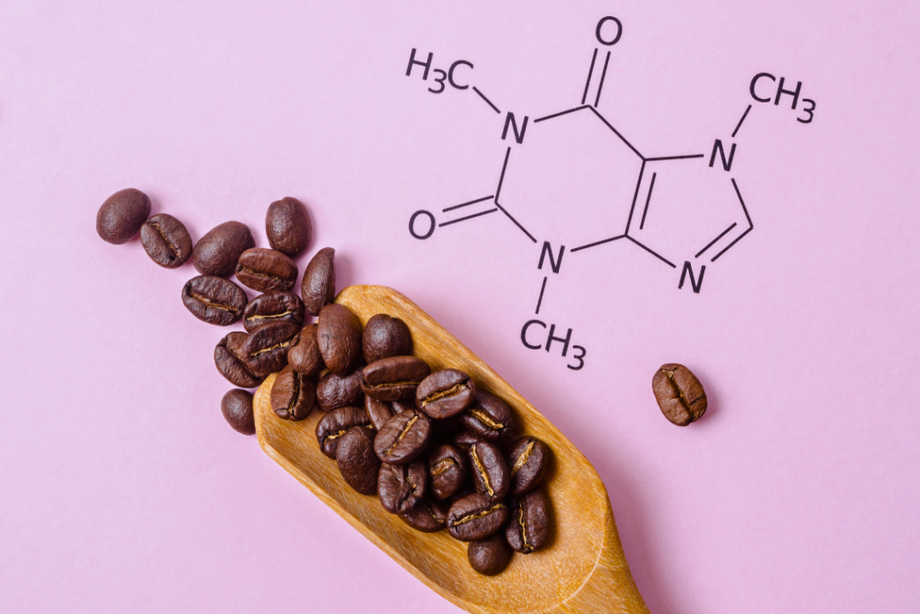 231030 portada noticia cafeina 1024x683 La cafeína mejora la oxidación de grasas, según una investigación de la UFV | Noticias de Actualidad UFV Estudiar en Universidad Privada Madrid