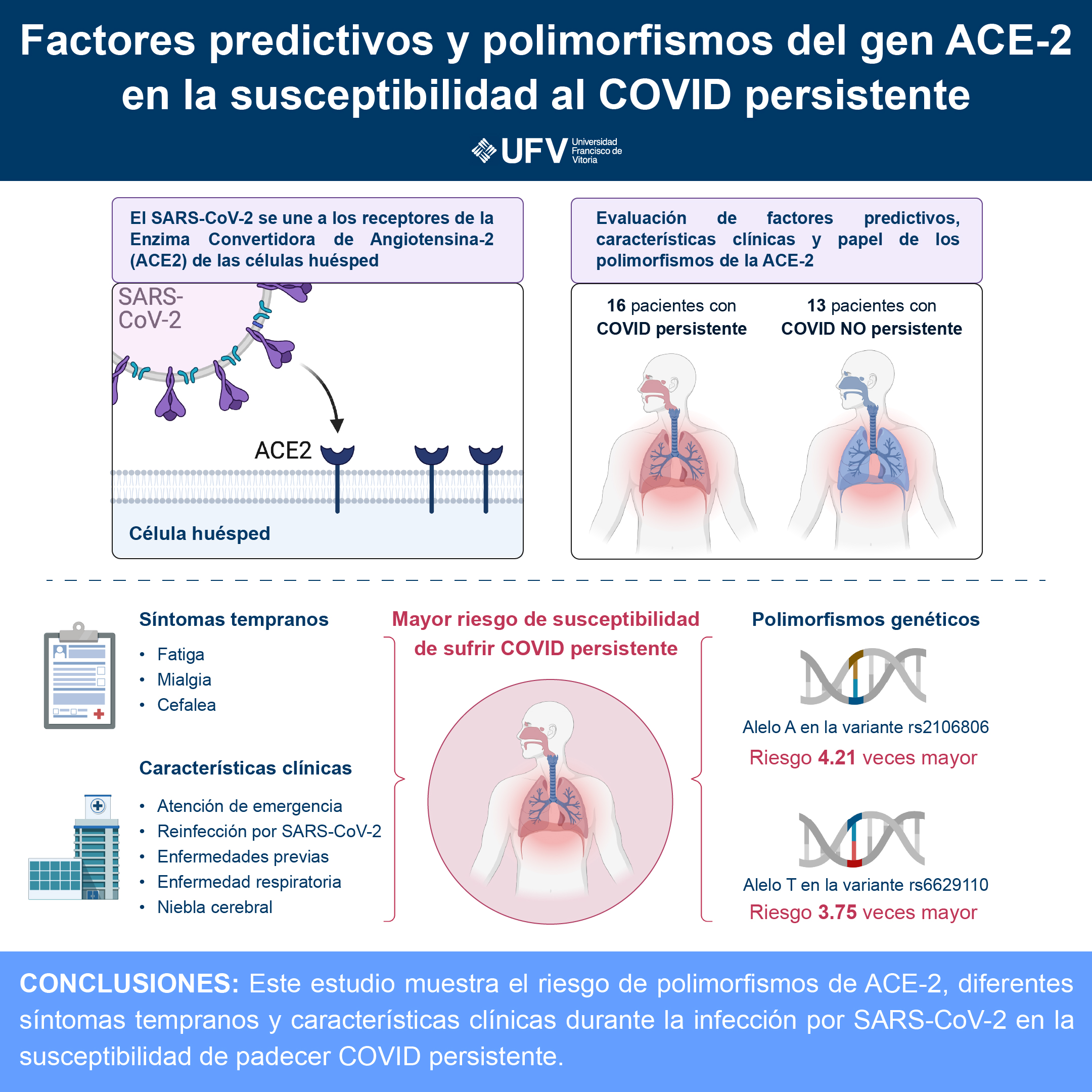 240226 infografia Long COVID ¿De qué manera nuestros genes nos predisponen a padecer COVID persistente? Estudiar en Universidad Privada Madrid