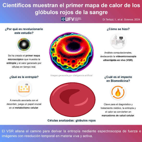 Captura de pantalla 2024 05 08 102653 Una investigación de la UFV junto con otras universidades muestra el primer mapa de calor de una célula Estudiar en Universidad Privada Madrid