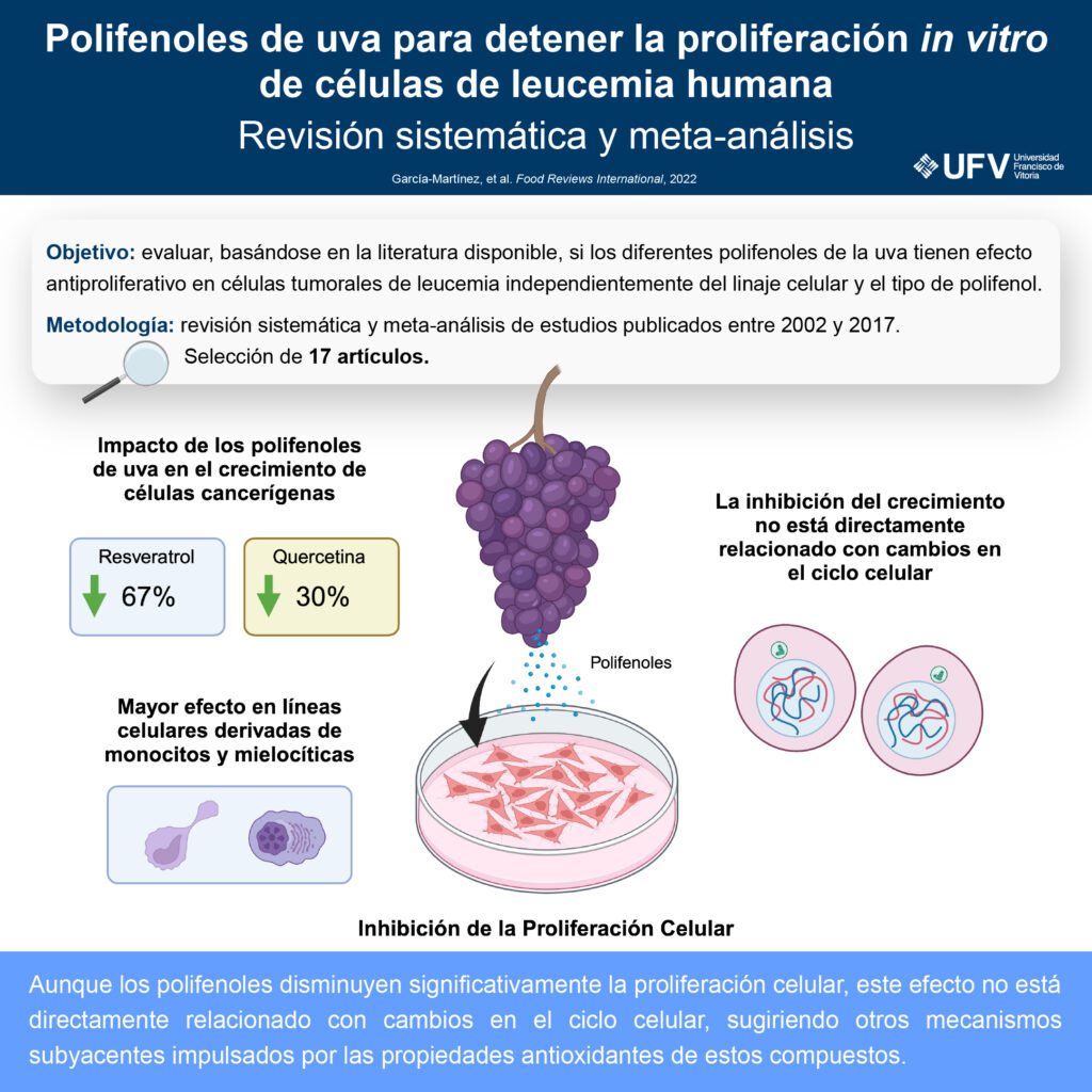 240425 para publicar infografia polifenoles uva Cruz Santos 1024x1024 Investigadores de la UFV destacan la eficacia de la uva en la lucha contra la leucemia Estudiar en Universidad Privada Madrid