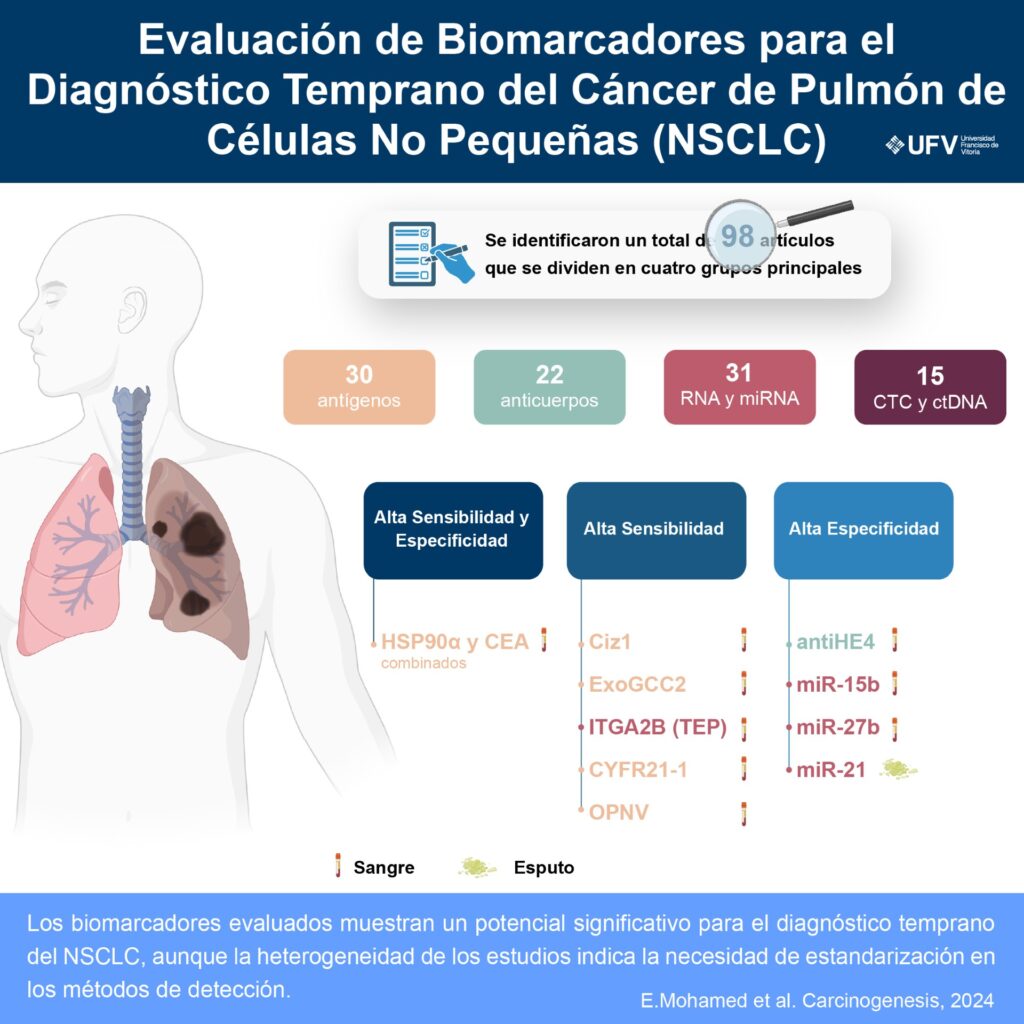 260614 para corregir infografia cancer de pulmon daniel garcia 1024x1024 Investigadores de la UFV participan en un estudio sobre biomarcadores que podrían mejorar la detección temprana del cáncer de pulmón Estudiar en Universidad Privada Madrid